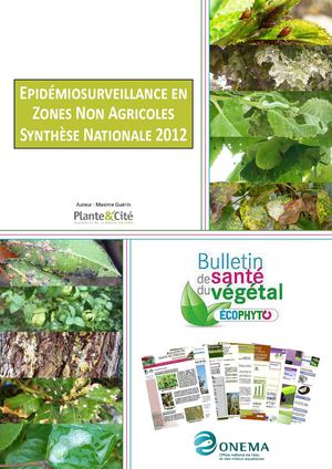 Epidémiosurveillance en zones non agricoles - Synthèse nationale 2012