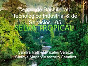 Selva Tropical.