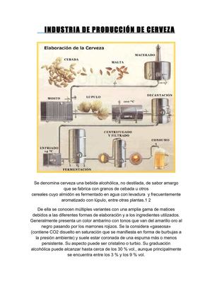 INDUSTRIA CERVECERA  