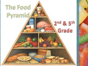 food pyramid