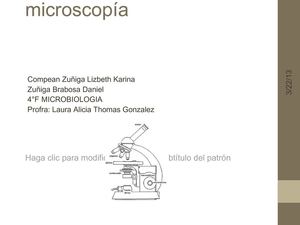 Diapositivas de microscopia