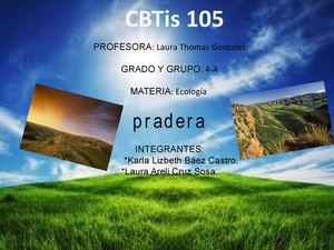 PRADERA