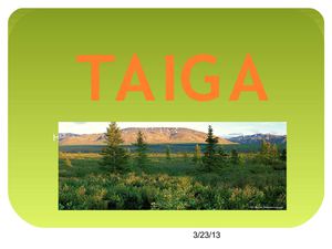 TAIGA
