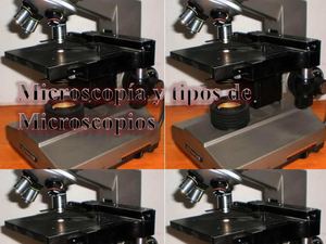 Microscopia Y Tipos de microscopios