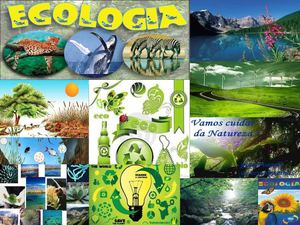 collage de ecologia