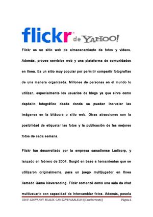 CARACTERISTICAS FLICKR ....