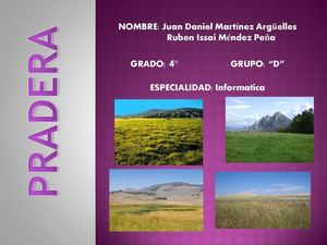 Pradera