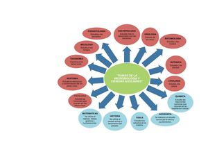 RAMAS Y CIENCIAS AUXILIARES DE LA MICRO (Autoguardado) (1)