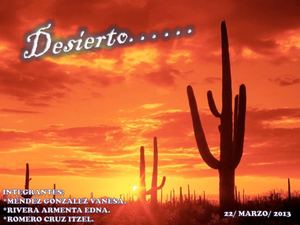 Desierto