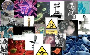 Collage de todas los temas