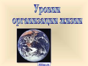 Уровни организации живого