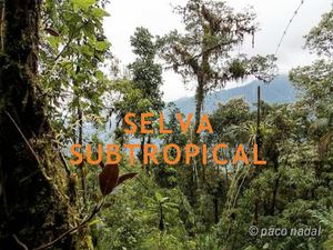 SELVA SUBTROPICAL