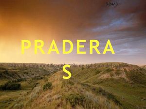 PRADERAS