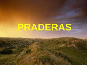 PRADERAS