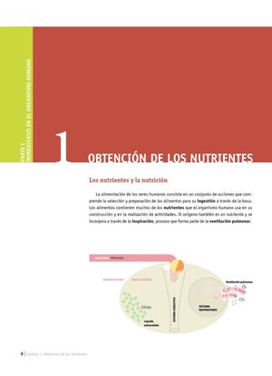 Obtención de los nutrientes