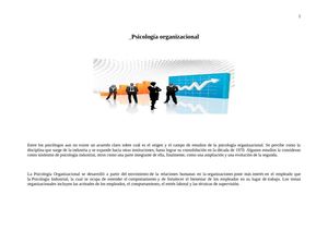 Psicologia Organizacional