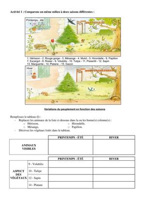 Polycopiers_vierges_64