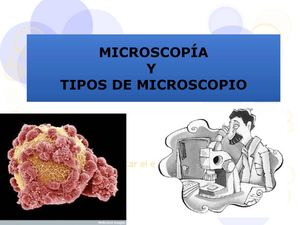 MICROSCOPÍA y tipos de microscopio