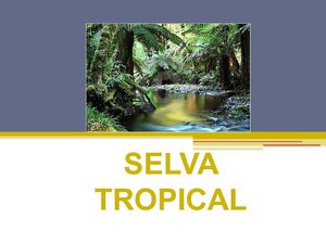 SELVA TROPICAL