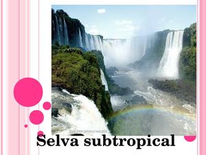 diapositivas subtropical