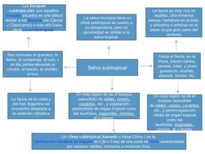 mapa de selva subtropical