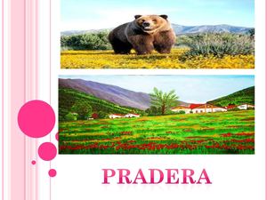 pradera