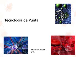 Tecnología de Punta