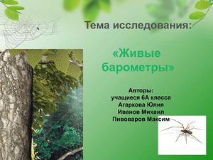 Детский проект Шведова, Селезнёва, Макарова, Скопинцева Живые барометры