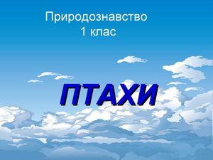 птахи