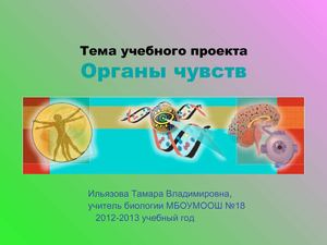 Учебный проект по биологии "Органы чувств"