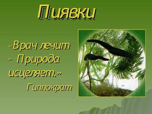 Презентация по биологии Ильязовой Т.В. Тема "Пиявки"