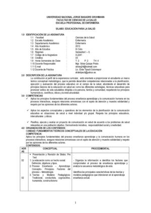 SILABO  2013 1 fin (2)