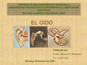 EL OÍDO