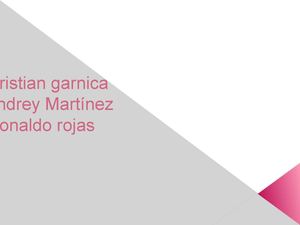 Diapositivas puente sur y puente norte  