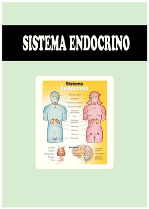 SISTEMA ENDOCRINO