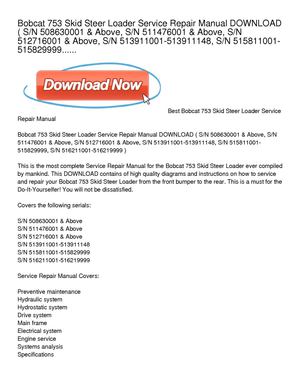 Bobcat 753 Wiring Diagram Manual - 14