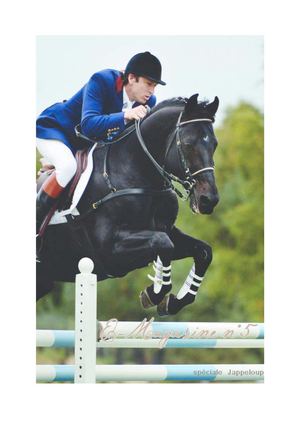 E-Magazine N°5 ( SPECIAL JAPPELOUP)