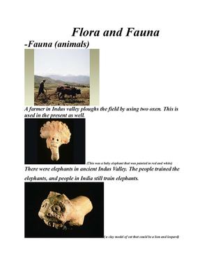 Flora And Fauna in Indus Valley
