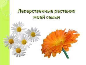 Презентация 1 группы