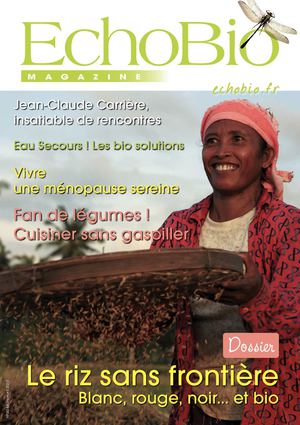 Le riz sans frontière