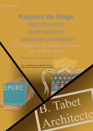 Rapport de stage 2010-2013