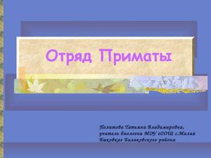 Презентация к проекту "Человекообразные обезьяны"
