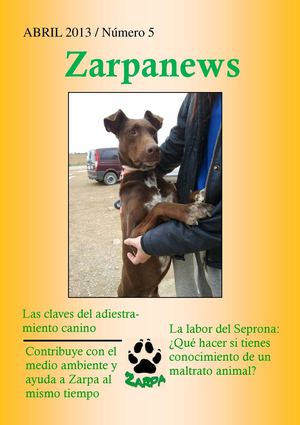 Zarpanews Nº5