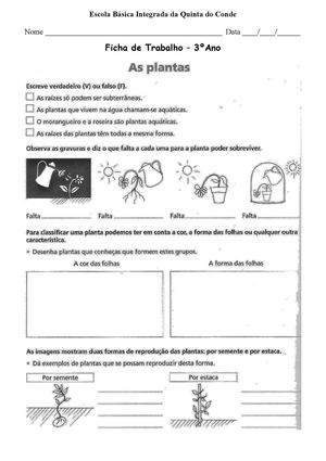Fichas de trabalho de Estudo do Meio - 3ºAno