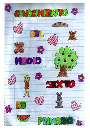 marina libreta de cono