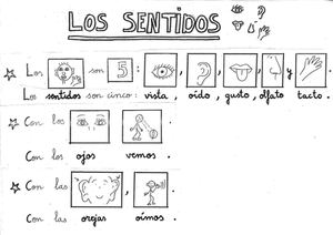 Los sentidos con pictogramas