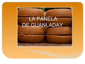 PROCESO PRODUCTIVO DE LA PANELA