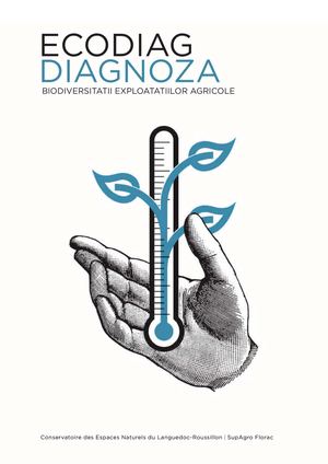 DAE_roumain_090413_WEB