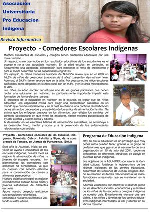 REVISTA INFORMATIVA - ASUNIPEI