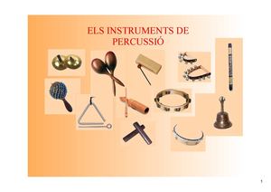 INSTRUMENTS DE PERCUSSIÓ